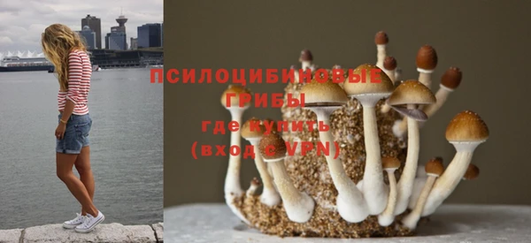 прущий лед Алексин