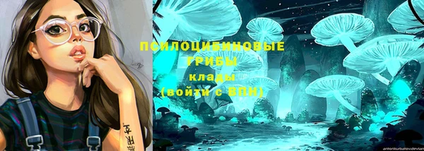 прущий лед Алексин