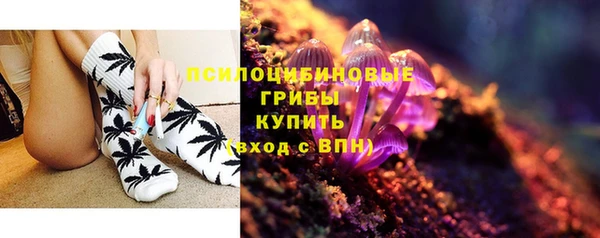 соль курить ск Няндома
