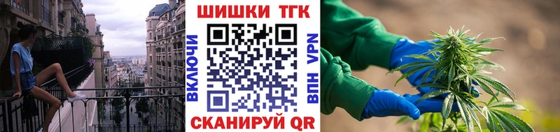 MEGA ссылки  Сычёвка  Канабис гибрид 